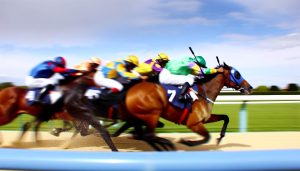 Pmu Caen: pronostics, conseils et courses locales 🏇