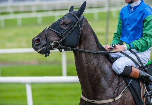 découvrez comment choisir la bonne taille de jockey pour garantir confort et performance, avec des conseils adaptés à chaque morphologie et discipline équestre.