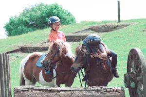 découvrez l'espace cavalier, votre destination dédiée à l'univers équestre : actualités, conseils, équipements et services pour passionnés de chevaux et de l'équitation.