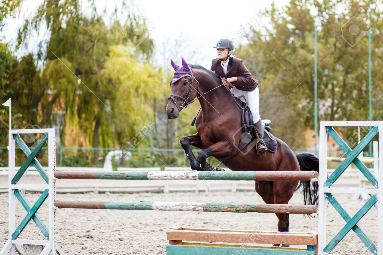 découvrez l'espace cavalier : un lieu dédié aux passionnés d'équitation, proposant des conseils, des actualités et des services pour accompagner les cavaliers dans leur pratique quotidienne.