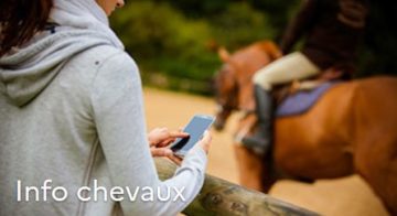 découvrez l'ifce, l'institut de référence en équitation en france : formations, conseils et actualités pour tous les passionnés du cheval, du débutant au professionnel.