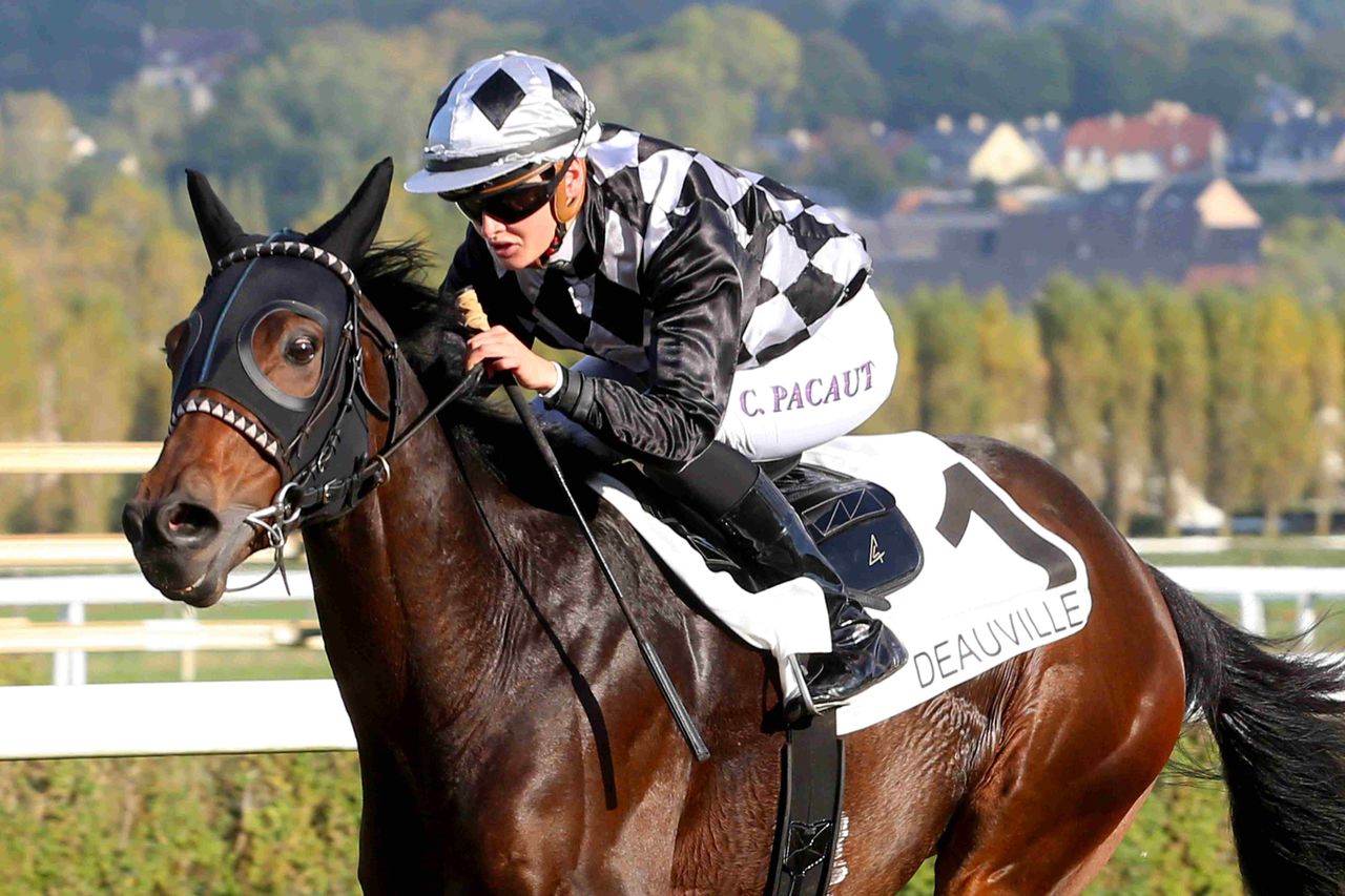 découvrez le rôle essentiel du jockey dans les courses hippiques ainsi que les compétences clés requises pour exceller dans ce métier passionnant.