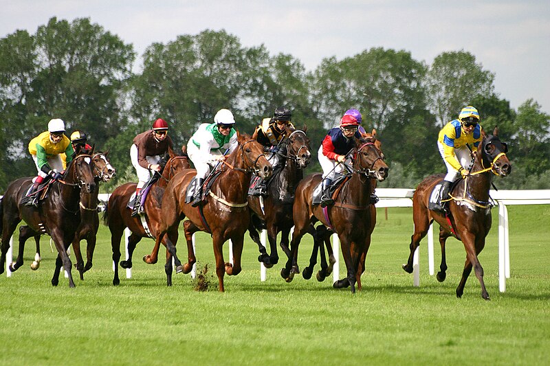 découvrez le rôle essentiel du jockey, ses compétences clés, ses responsabilités sur l’hippodrome et les qualités requises pour exceller dans ce métier passionnant des courses hippiques.