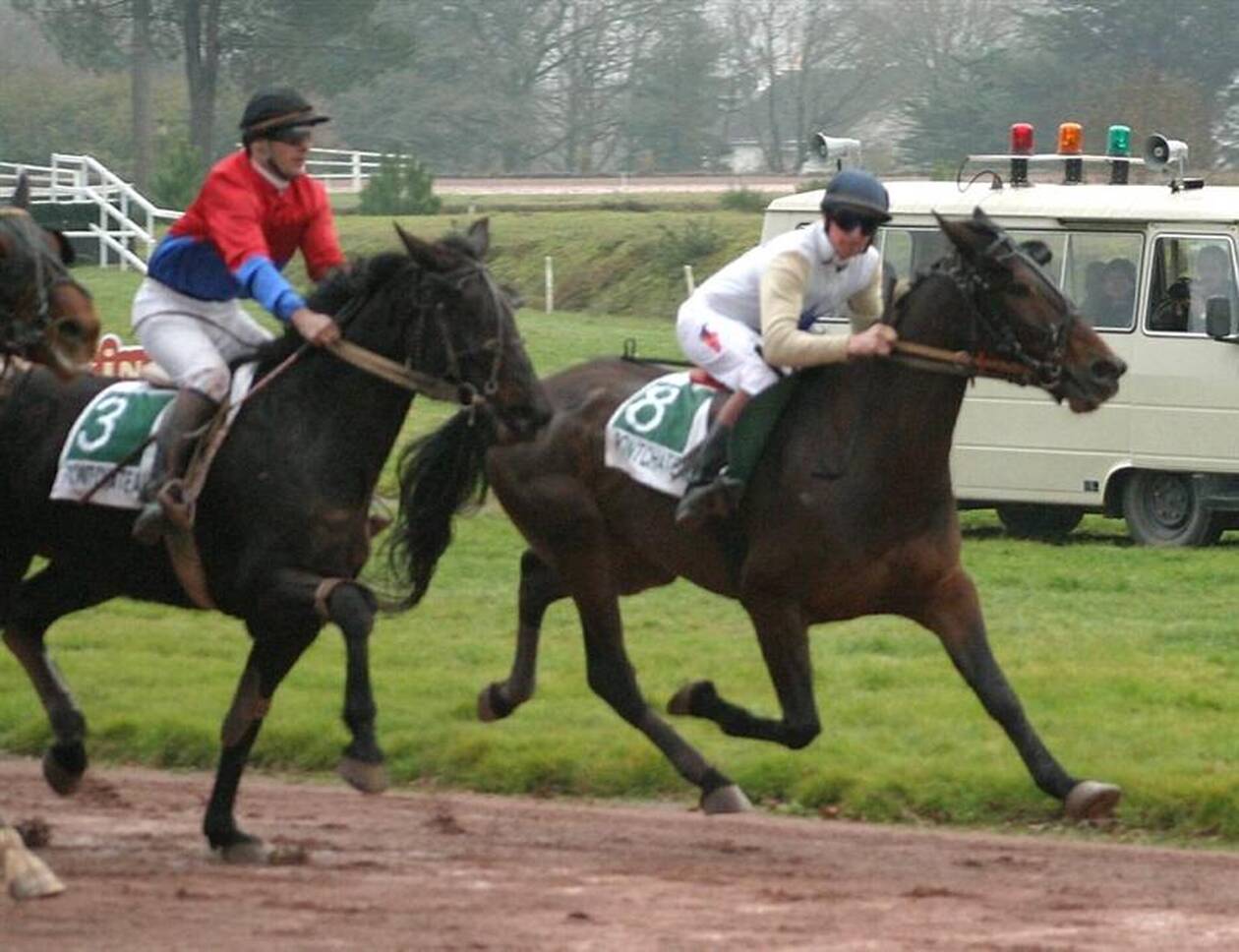 découvrez le classement des meilleurs jockeys de la saison, leurs performances marquantes, statistiques détaillées et faits saillants des courses hippiques incontournables.