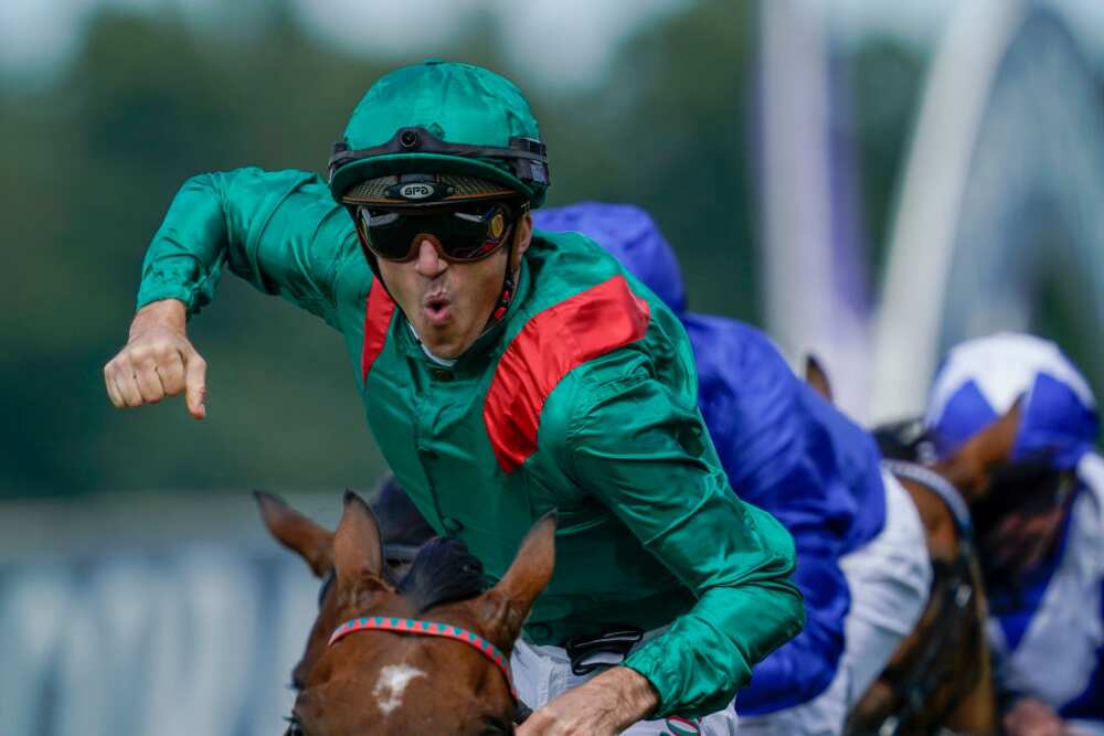 découvrez le classement des meilleurs jockeys de la saison, leurs performances, statistiques et faits marquants. suivez les stars des hippodromes et restez informé des dernières actualités hippiques !