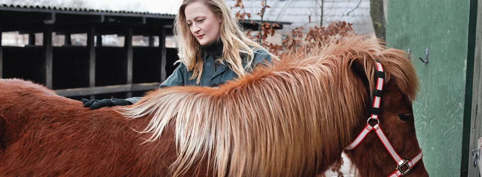 découvrez le métier de palefrenier, une profession équestre passionnante dédiée aux soins quotidiens des chevaux, à l’entretien des écuries et à l’assistance aux professionnels du monde hippique.