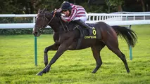 découvrez le parcours exceptionnel de gérald mossé, jockey français de renom, ainsi que son palmarès impressionnant dans les plus grandes courses hippiques internationales.