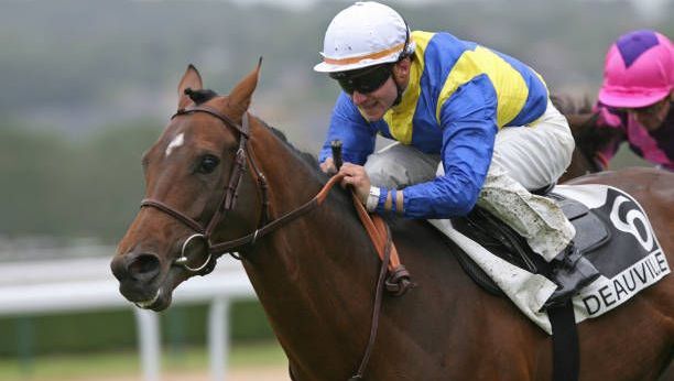 découvrez nos pronostics et conseils hippiques : analyses expertes, astuces pour parier et toutes les clés pour optimiser vos gains sur les courses de chevaux.