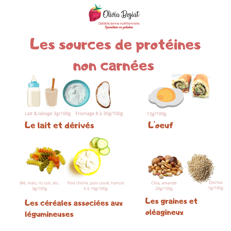 découvrez les meilleures sources de protéines pour une alimentation équilibrée : aliments d’origine animale et végétale, conseils et bienfaits pour la santé.