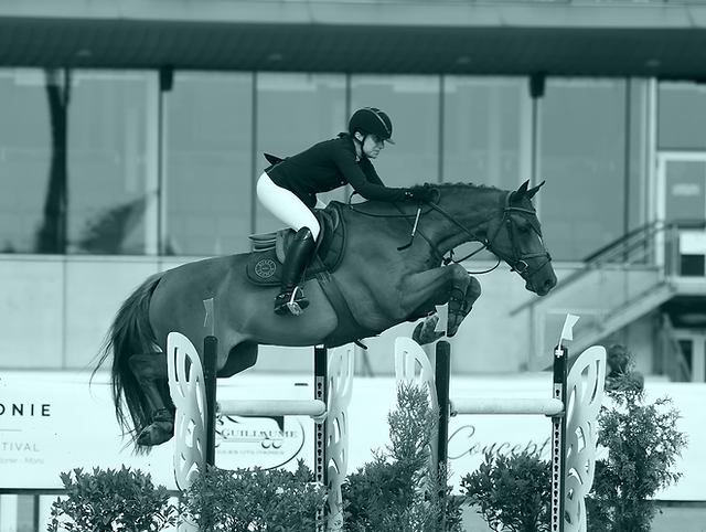 découvrez le parcours inspirant d'alexandra ledermann et ses succès remarquables dans le monde de l’équitation, une championne au talent reconnu.