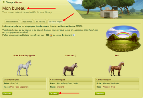 découvrez les meilleures astuces gaia pour exceller dans equideow et améliorer votre expérience de jeu avec nos conseils pratiques et stratégiques.
