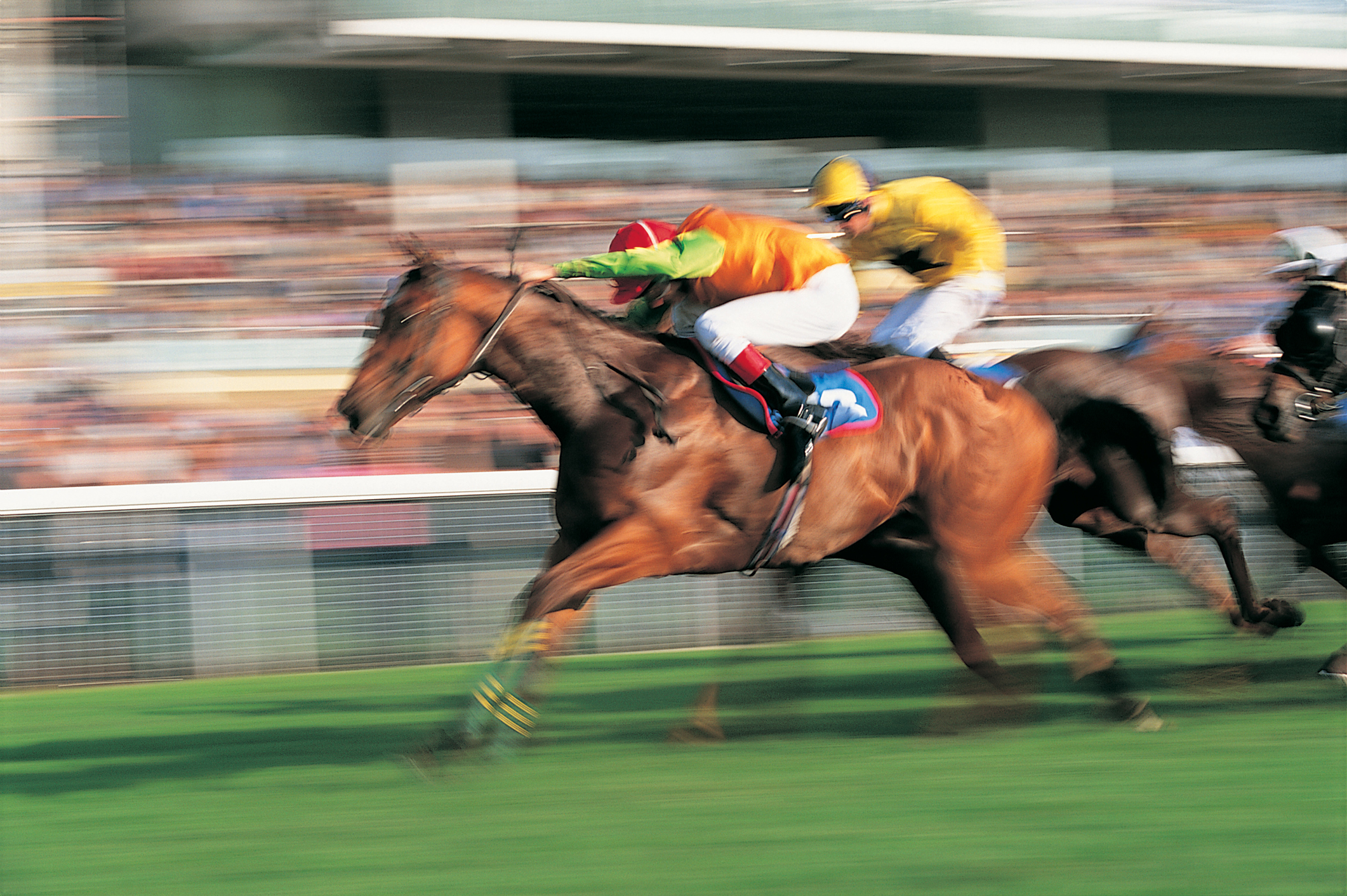 découvrez notre avis complet sur pmu paris hippiques : analyse détaillée des offres, fonctionnalités, et conseils pour parier efficacement sur les courses hippiques.