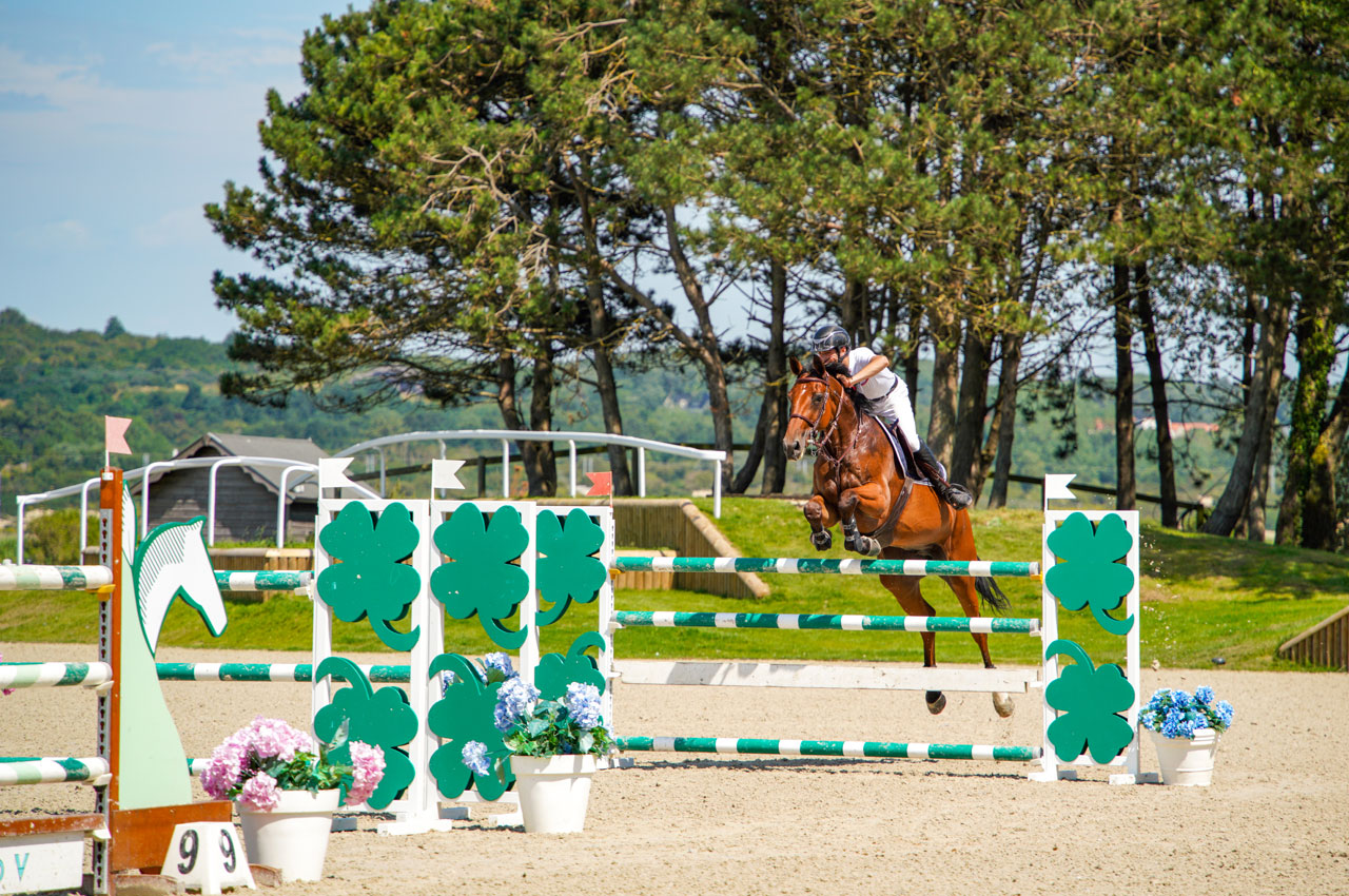découvrez les bases essentielles du concours de saut d'obstacles : règles, techniques, préparation du cheval et du cavalier pour réussir vos premiers parcours et progresser en compétition.