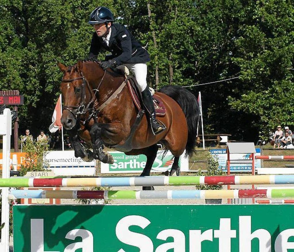 découvrez les bases essentielles pour réussir un concours de saut d'obstacles : règlement, entraînement du cheval, techniques de parcours et conseils pour bien débuter dans cette discipline équestre.