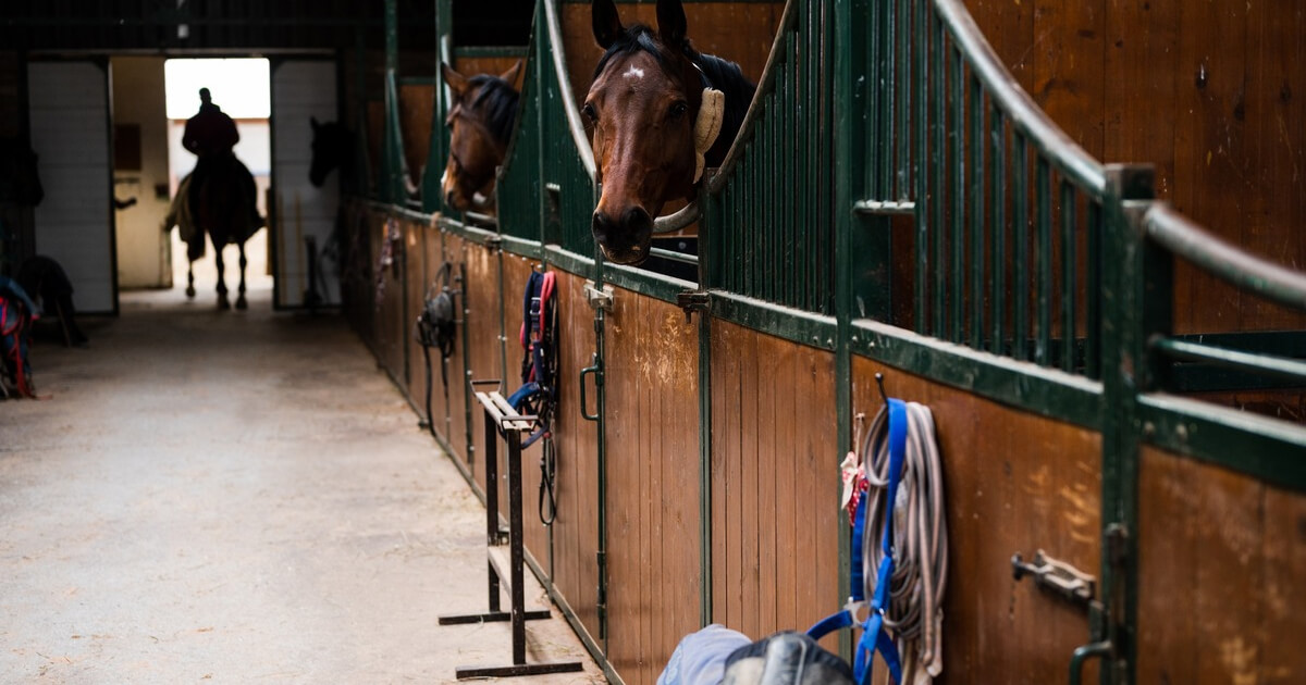 découvrez les meilleurs centres équestres à paris et faites le choix du club idéal pour pratiquer l'équitation selon vos besoins et votre niveau.