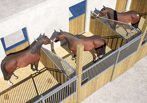 découvrez comment choisir horse stop pour sécuriser efficacement votre enclos et protéger vos chevaux en toute simplicité.
