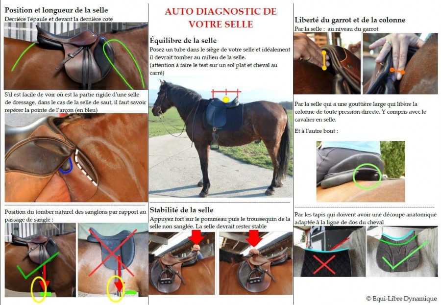 découvrez comment choisir la selle idéale selon votre pratique équestre ou cycliste. conseils, critères essentiels et astuces pour assurer votre confort et performance.