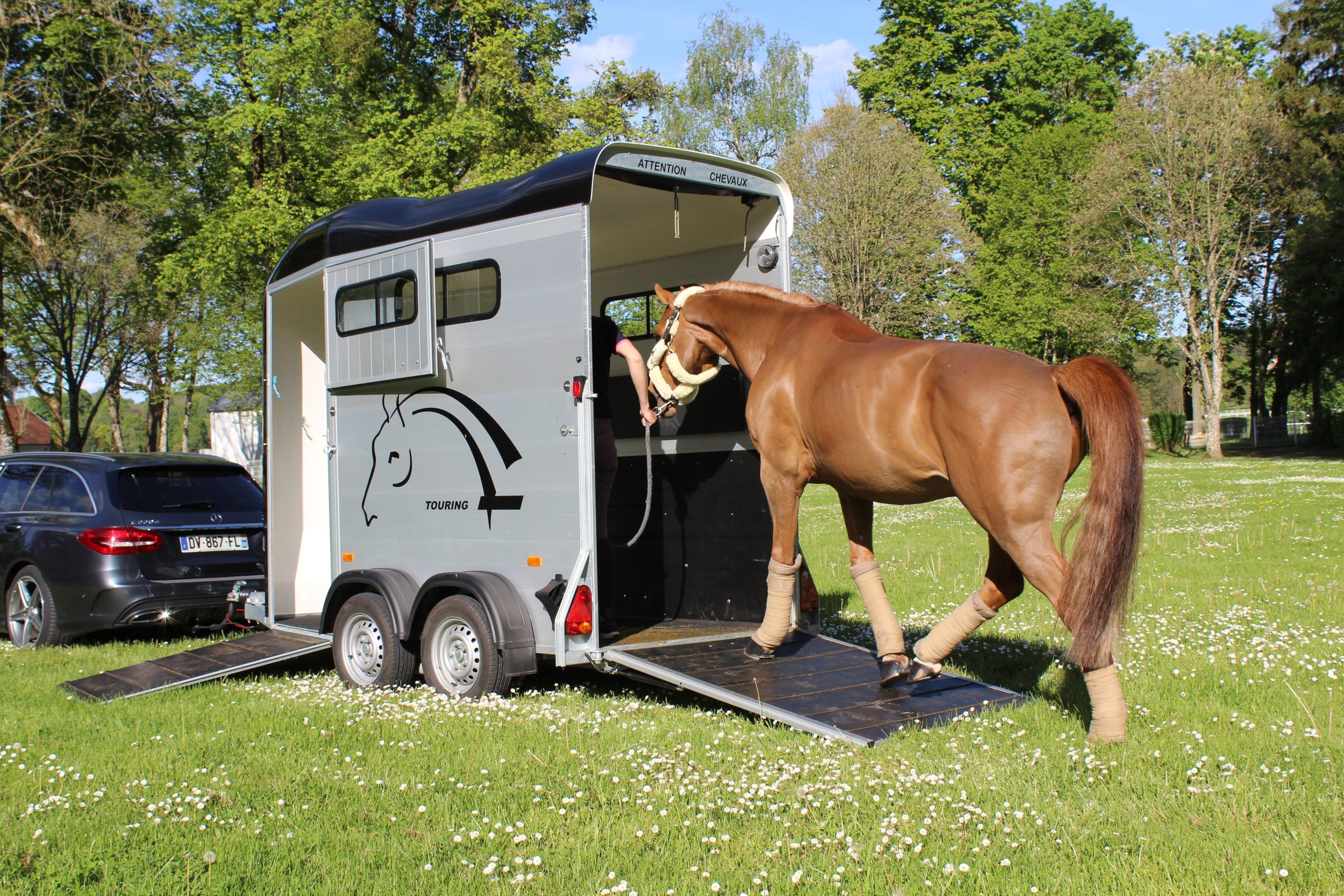 découvrez comment choisir le van idéal pour transporter vos chevaux en toute sécurité et confort. conseils pratiques et critères essentiels pour faire le bon choix.