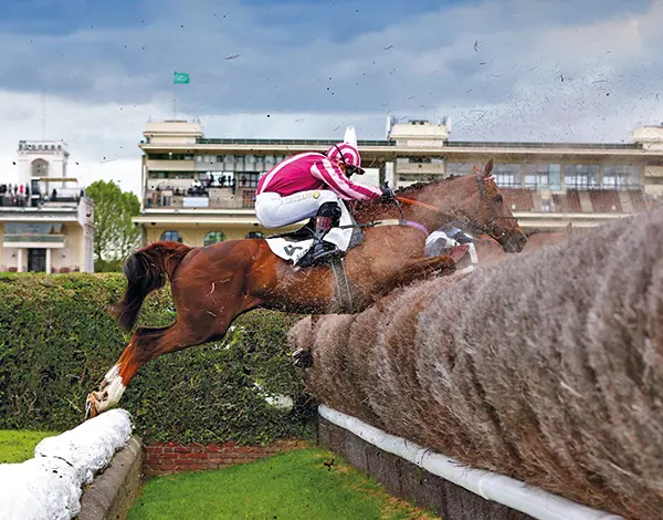 découvrez notre classement des meilleurs jockeys spécialisés en haies, avec une analyse détaillée et des conseils pour parier efficacement.