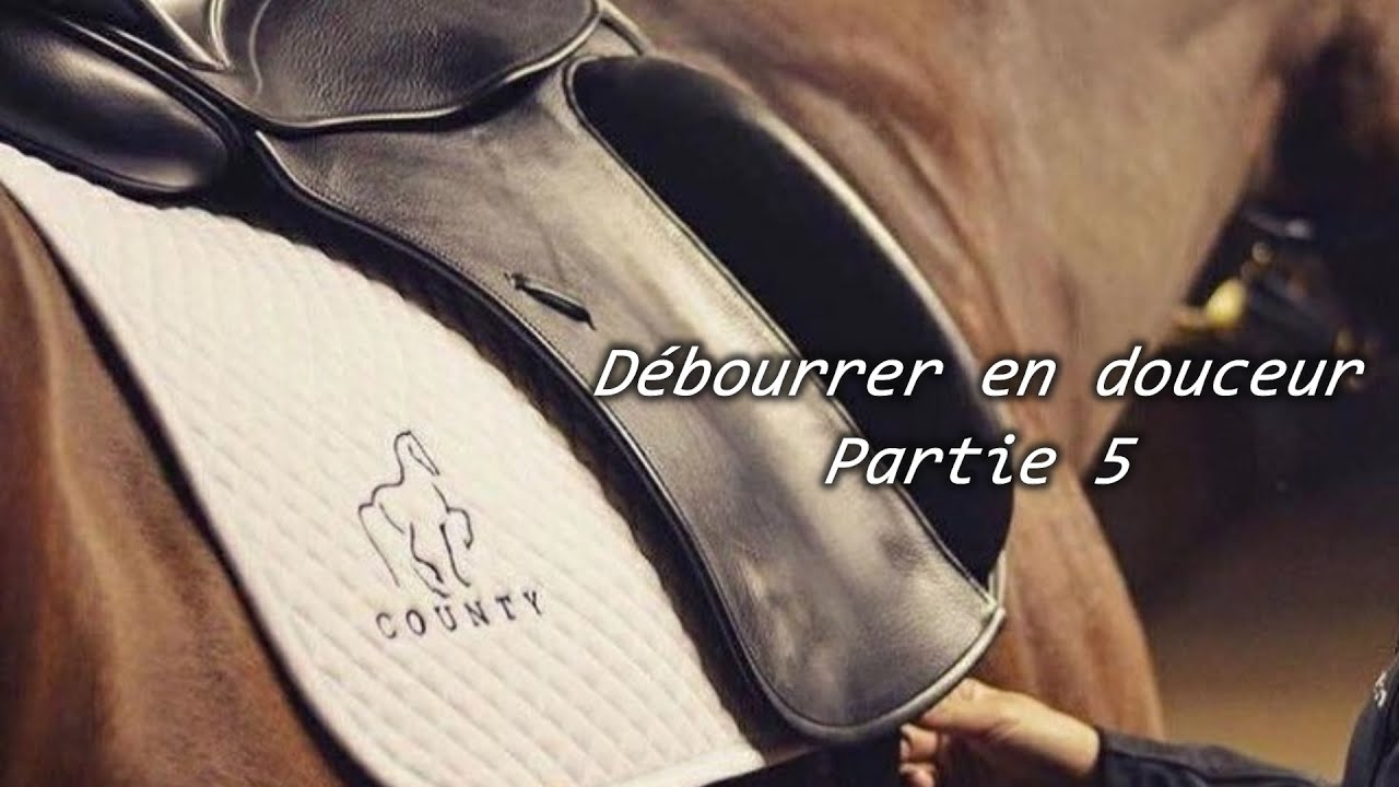 découvrez les étapes essentielles et nos conseils pratiques pour le débourrage de votre cheval, afin d'assurer une éducation douce et efficace.
