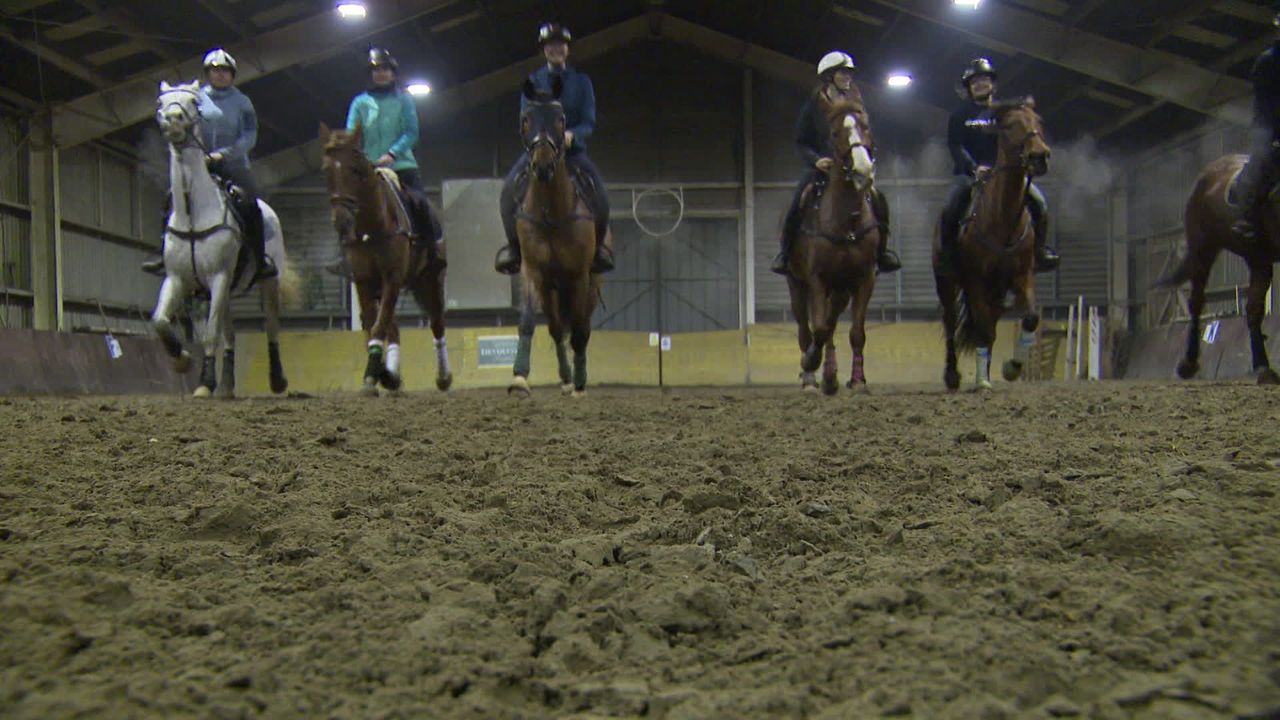 découvrez le horse ball, un sport équestre dynamique alliant ballon et cheval. apprenez ses règles essentielles et initiez-vous à cette discipline passionnante.