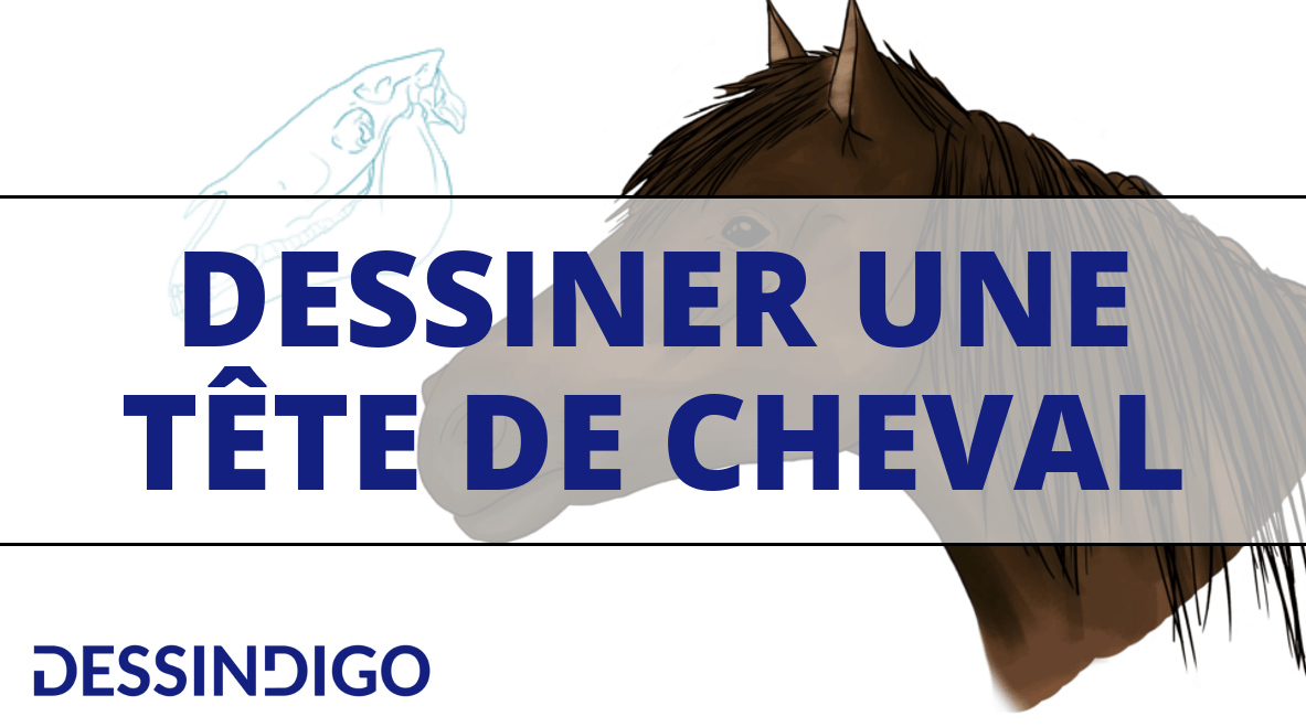 apprenez à dessiner la tête d'un cheval facilement avec ce guide pour débutants, étape par étape.