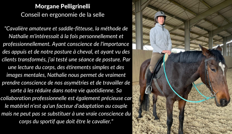 découvrez des conseils efficaces pour le dressage et améliorez la comportement de votre animal grâce à nos astuces simples et pratiques.