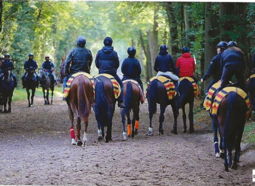 découvrez l'histoire fascinante de l'hippodrome de chantilly et planifiez votre visite pour explorer ce site emblématique du monde des courses hippiques.