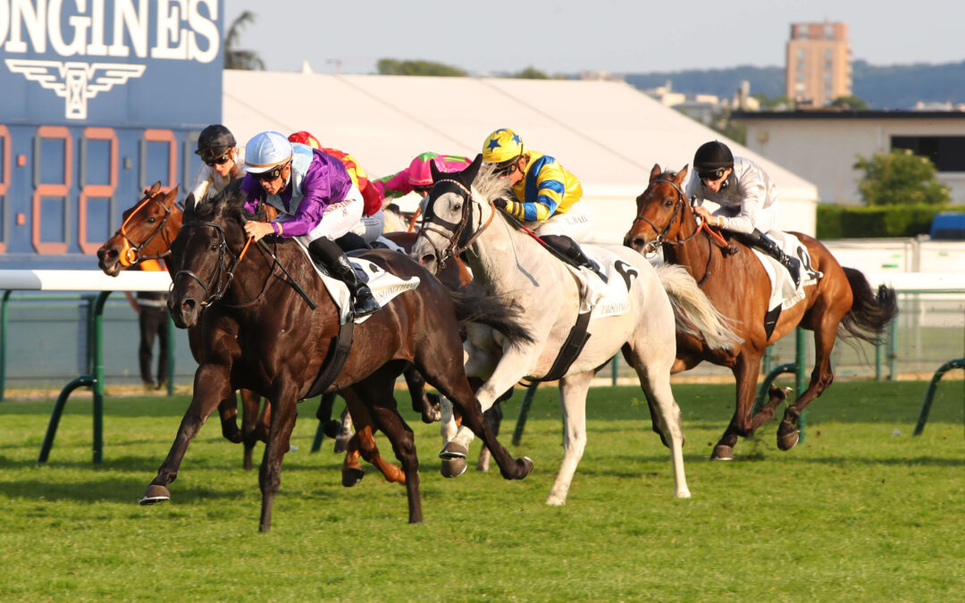 découvrez l'histoire fascinante du jockey club, ses origines, son évolution et les enjeux actuels qui entourent ce cercle réputé du monde hippique et sportif.