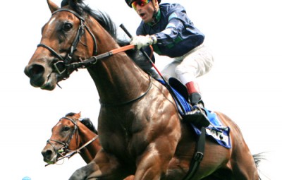 découvrez le métier de jockey : quotidien, exigences physiques et mentales, entraînements et défis pour exceller dans cette passion sportive unique.