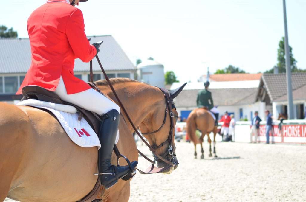 découvrez le jumping la baule, un événement d’équitation incontournable alliant compétitions de saut d’obstacles et ambiance festive au cœur de la baule.