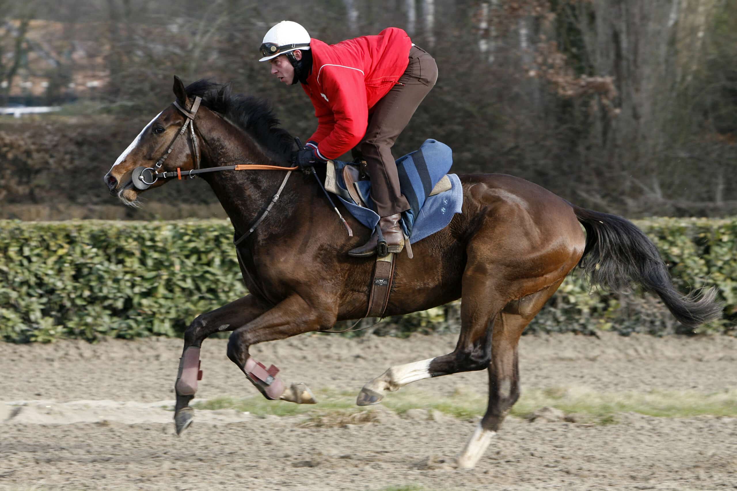 découvrez le guide complet du lad jockey : conseils, techniques et astuces pour maîtriser cette expertise passionnante.