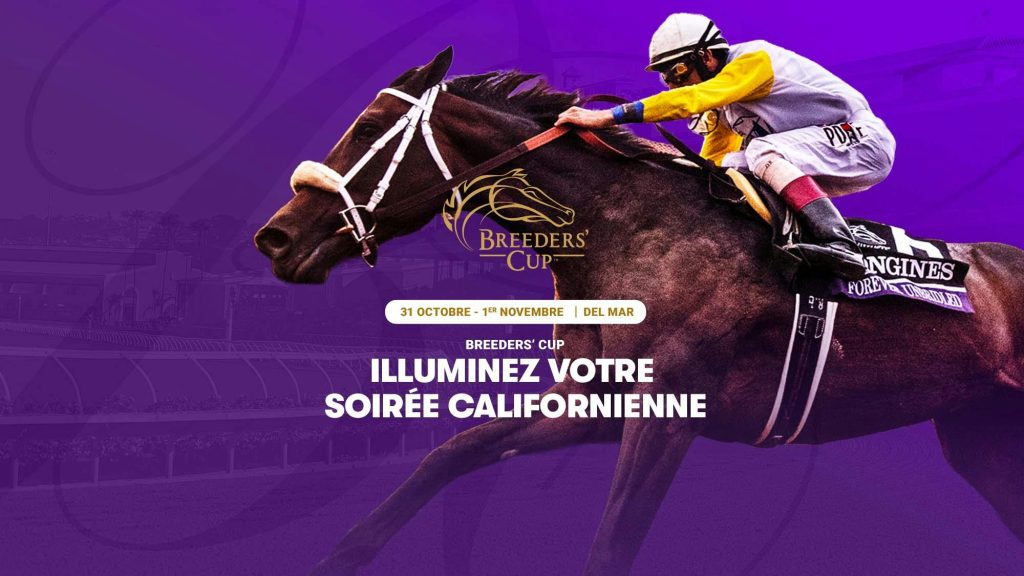 découvrez toutes les infos et conseils essentiels pour parier efficacement à la ligue hippique pmu. analyse, stratégies et astuces pour maximiser vos gains.