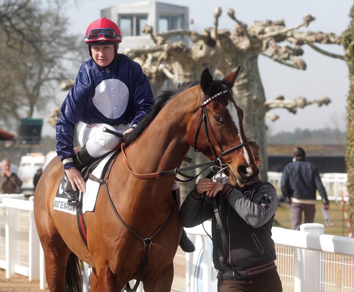 découvrez le meilleur jockey de haies à auteuil, ses performances exceptionnelles et son palmarès impressionnant dans les courses hippiques.