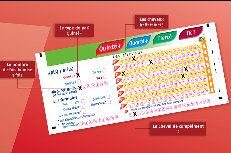 découvrez comment parier au pmu en point de vente : conseils pratiques, étapes faciles et astuces pour maximiser vos chances de gagner.