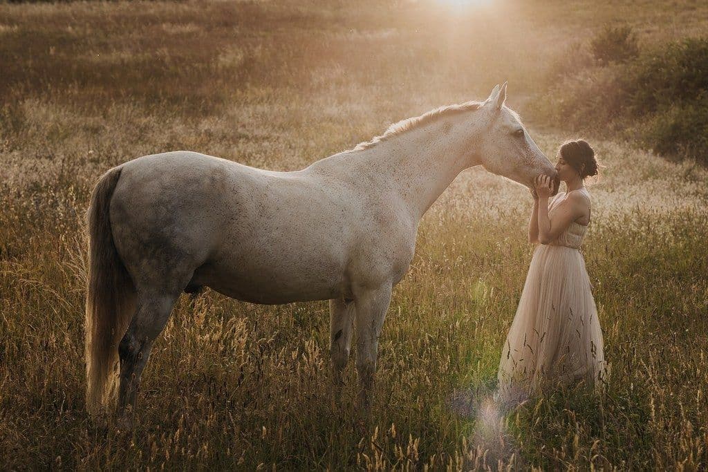 découvrez des astuces et techniques essentielles pour réussir vos photographies de chevaux, capturant leur beauté et puissance avec précision.
