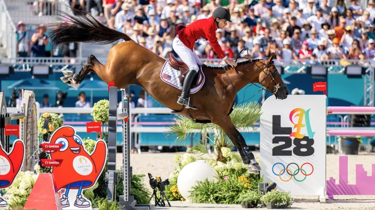 découvrez comment se prépare l'équipe d'équitation française pour les jeux olympiques 2028, avec entraînements, sélection des chevaux et stratégies de compétition.