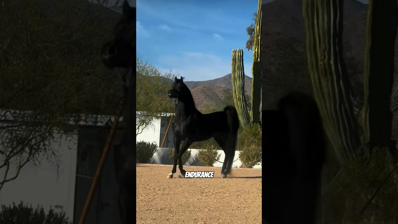 découvrez le prix du cheval le plus cher au monde, ses caractéristiques uniques et les raisons qui expliquent sa valeur exceptionnelle.