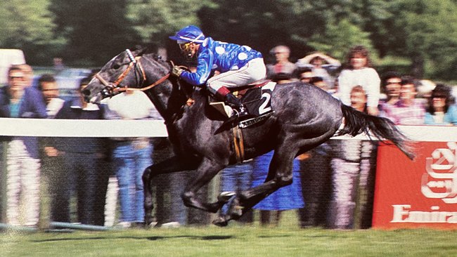 découvrez le revenu réel d'un jockey sur une saison, en tenant compte des gains, des dépenses et des facteurs influençant leur rémunération dans le monde des courses hippiques.