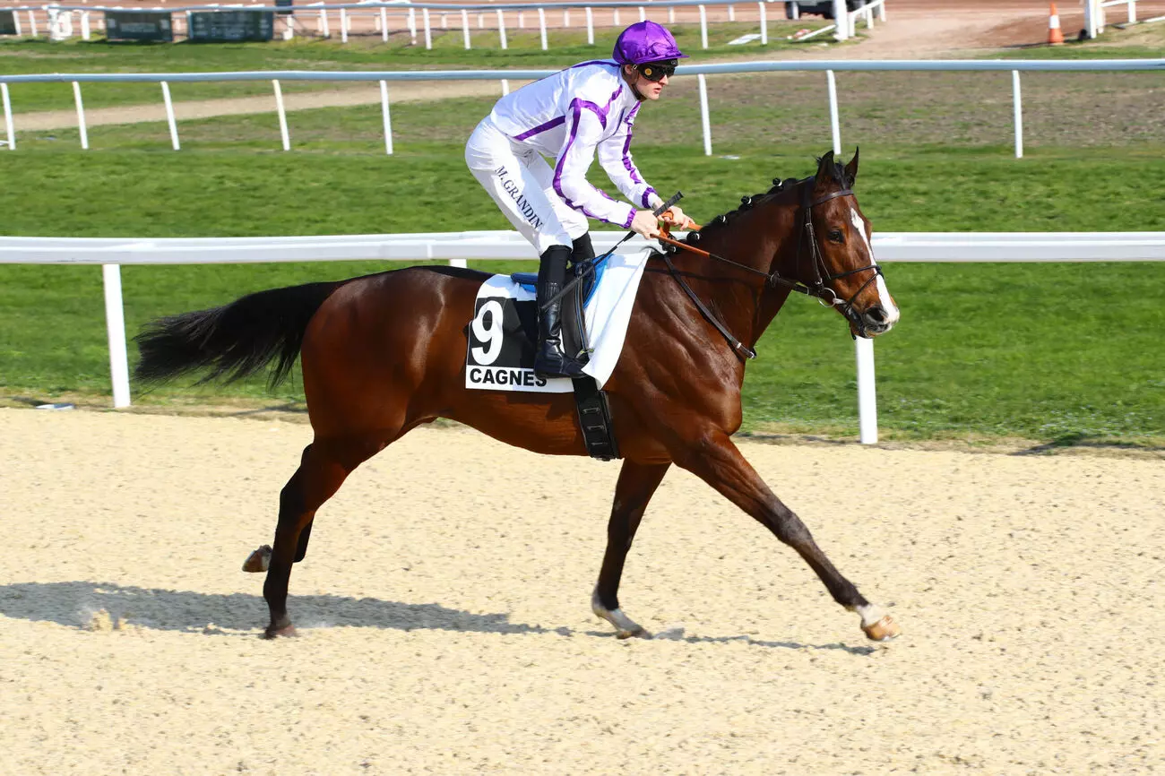 découvrez le rôle essentiel du trullier dans les courses hippiques, ses responsabilités et son importance pour le jockey et les chevaux.