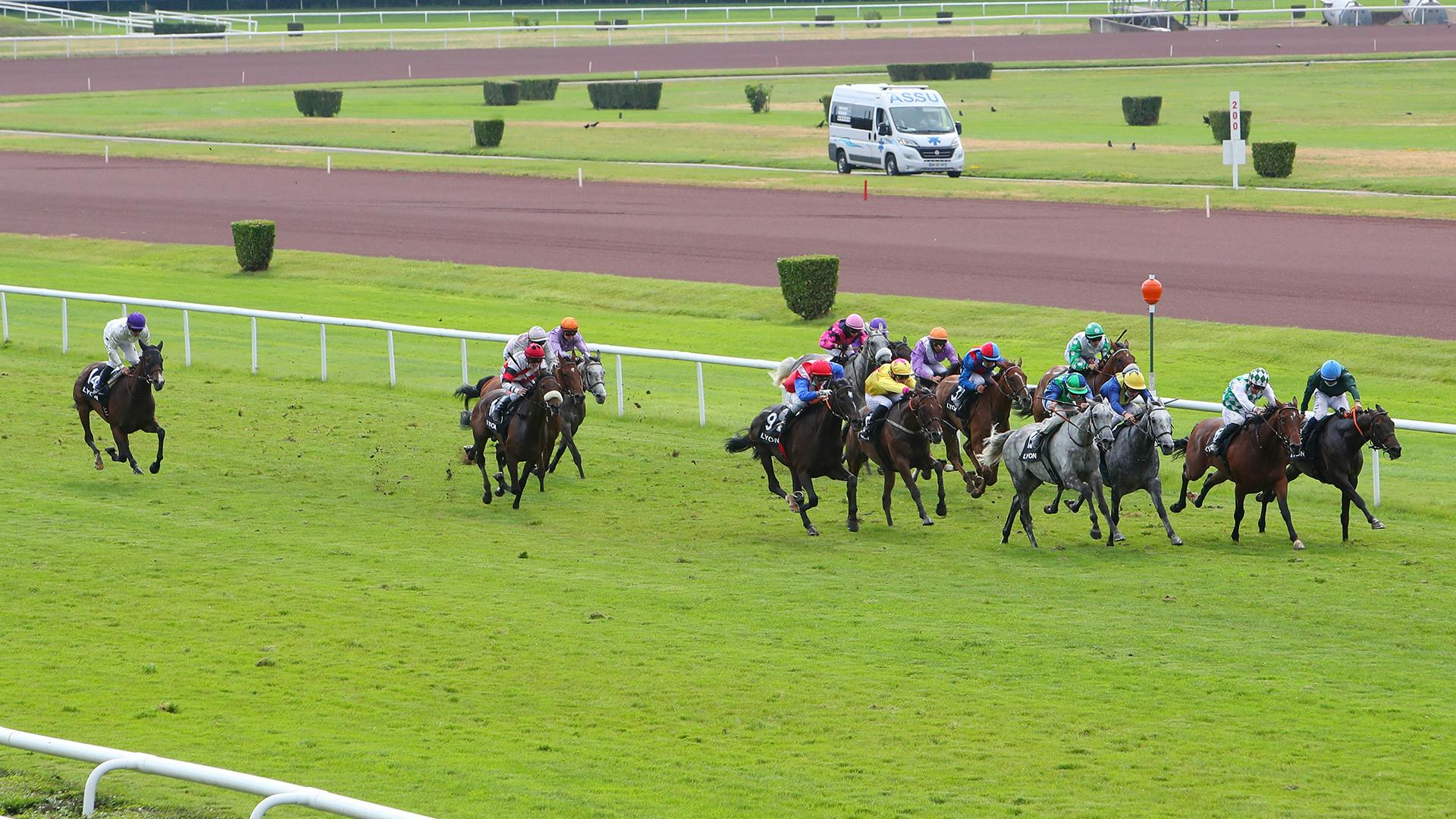 découvrez l'hippodrome de parilly, un lieu incontournable pour les amateurs de courses hippiques et d'événements culturels. profitez d'une ambiance conviviale et d'activités pour toute la famille lors de votre visite.