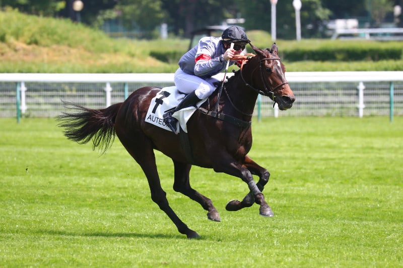 découvrez le parcours inspirant des anciens jockeys français et leurs reconversions après leur carrière sportive. témoignages, défis et réussites.