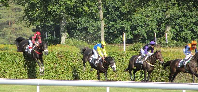 découvrez le rôle essentiel de l'association des jockeys, ses missions et les dernières actualités du monde des courses hippiques.