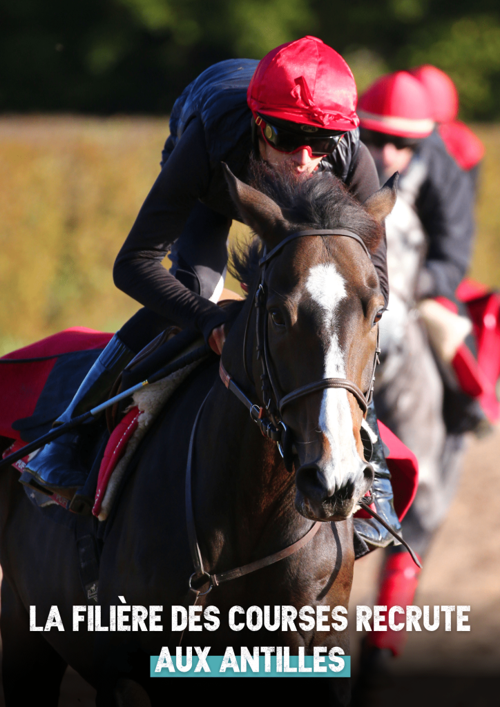 découvrez le parcours et la carrière de b marie, jockey passionné, à travers ses exploits, ses victoires et son engagement dans le monde des courses hippiques.