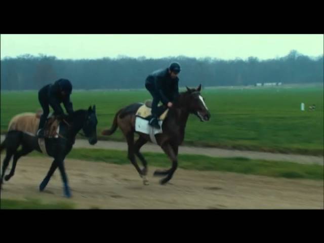 découvrez le parcours et le palmarès de cash asmussen, jockey de renom, à travers ses exploits et ses victoires dans le monde des courses hippiques.