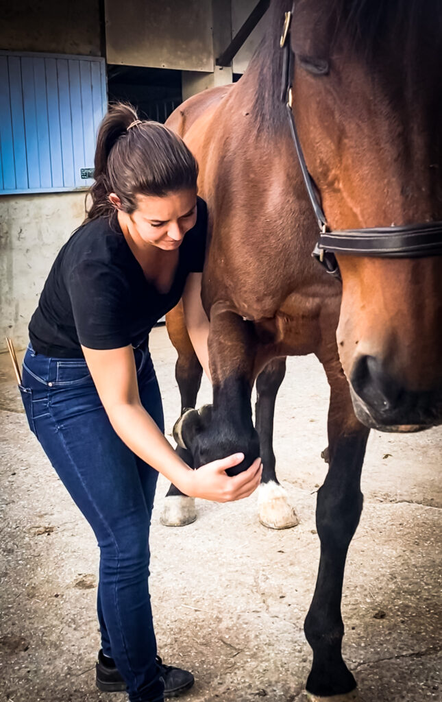 découvrez comment choisir un ostéopathe équin qualifié pour assurer le bien-être et la santé de votre cheval grâce à nos conseils experts.
