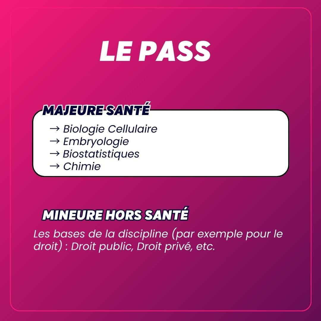découvrez notre guide complet pour intégrer une école vétérinaire : conseils d'admission, critères, parcours académique et astuces pour réussir votre candidature.