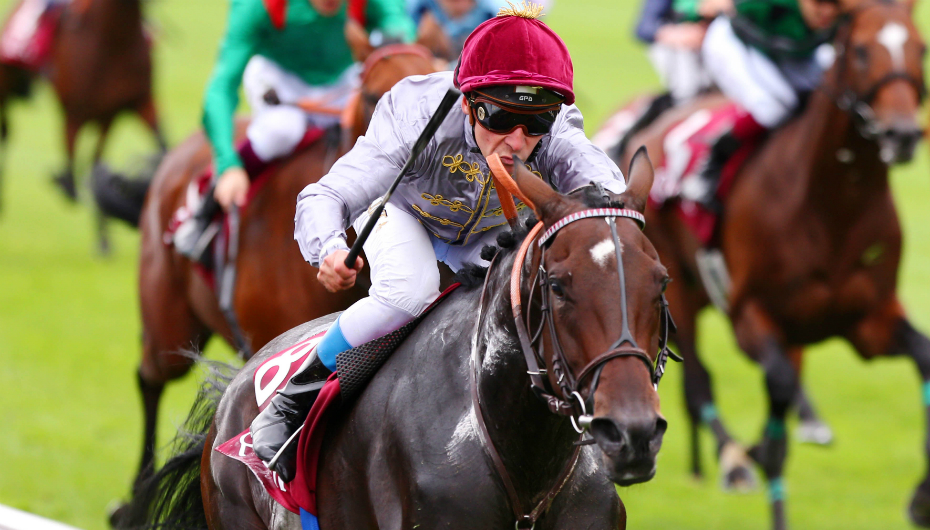 découvrez les parcours légendaires des jockeys célèbres, leurs exploits et histoires fascinantes dans le monde des courses hippiques.