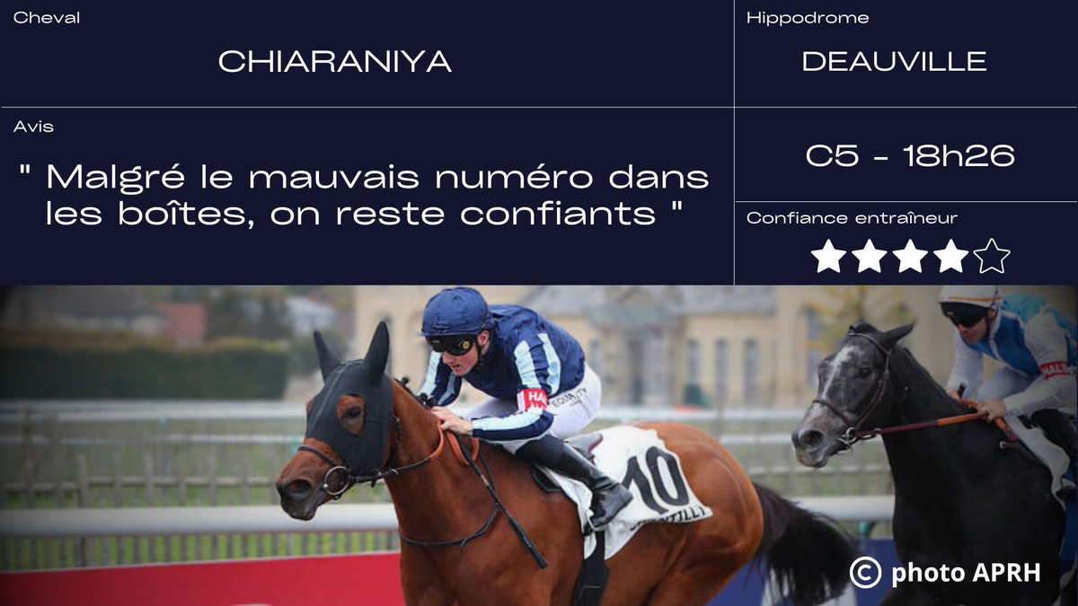 découvrez le portrait et le parcours inspirant de madame t jockey, une figure emblématique du monde équestre.