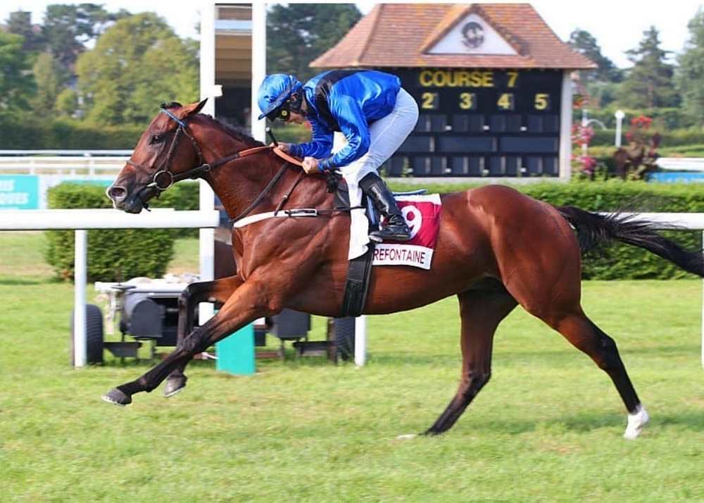 découvrez le meilleur jockey plat actuel, ses performances récentes, statistiques et succès dans les courses hippiques.